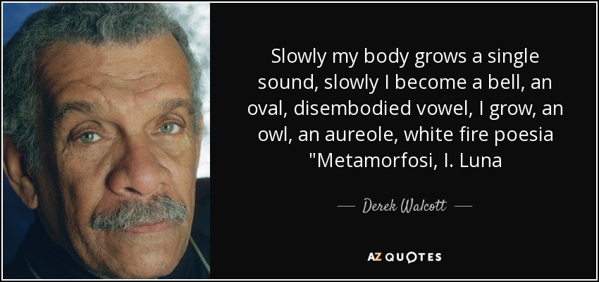 Slowly my body grows a single sound, slowly I become a bell, an oval, disembodied vowel, I grow, an owl, an aureole, white fire poesia 