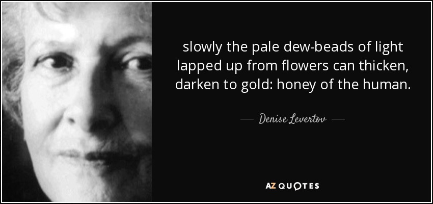 slowly the pale dew-beads of light lapped up from flowers can thicken, darken to gold: honey of the human. - Denise Levertov