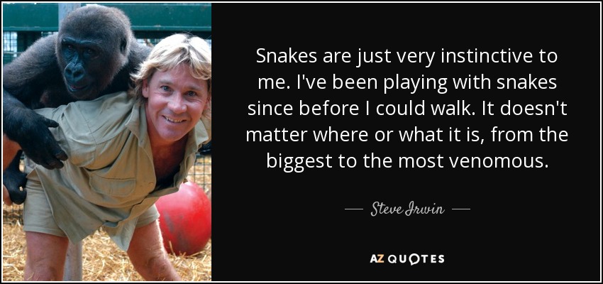 Snakes are just very instinctive to me. I've been playing with snakes since before I could walk. It doesn't matter where or what it is, from the biggest to the most venomous. - Steve Irwin