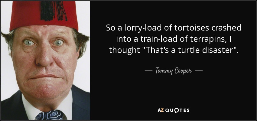 So a lorry-load of tortoises crashed into a train-load of terrapins, I thought 