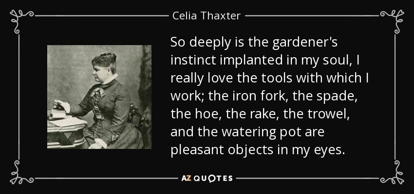 So deeply is the gardener's instinct implanted in my soul, I really love the tools with which I work; the iron fork, the spade, the hoe, the rake, the trowel, and the watering pot are pleasant objects in my eyes. - Celia Thaxter