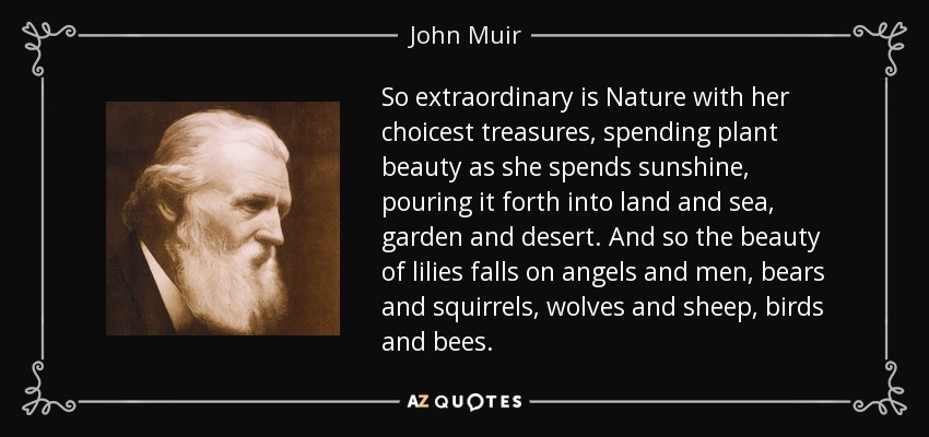 So extraordinary is Nature with her choicest treasures, spending plant beauty as she spends sunshine, pouring it forth into land and sea, garden and desert. And so the beauty of lilies falls on angels and men, bears and squirrels, wolves and sheep, birds and bees. - John Muir