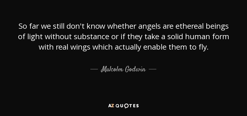 So far we still don't know whether angels are ethereal beings of light without substance or if they take a solid human form with real wings which actually enable them to fly. - Malcolm Godwin