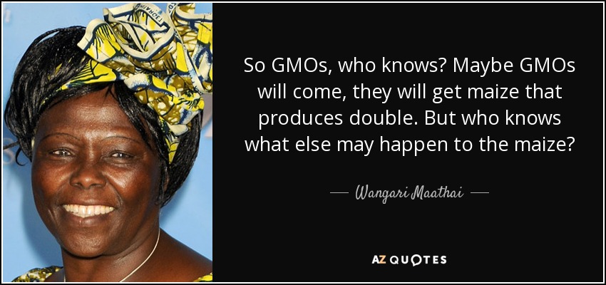 So GMOs, who knows? Maybe GMOs will come, they will get maize that produces double. But who knows what else may happen to the maize? - Wangari Maathai