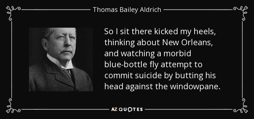 So I sit there kicked my heels, thinking about New Orleans, and watching a morbid blue-bottle fly attempt to commit suicide by butting his head against the windowpane. - Thomas Bailey Aldrich