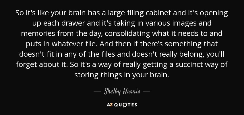 So it's like your brain has a large filing cabinet and it's opening up each drawer and it's taking in various images and memories from the day, consolidating what it needs to and puts in whatever file. And then if there's something that doesn't fit in any of the files and doesn't really belong, you'll forget about it. So it's a way of really getting a succinct way of storing things in your brain. - Shelby Harris