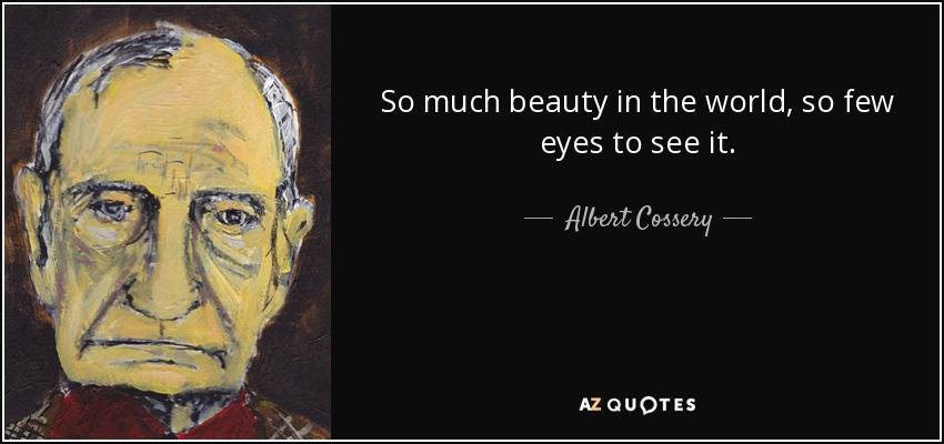 So much beauty in the world, so few eyes to see it. - Albert Cossery