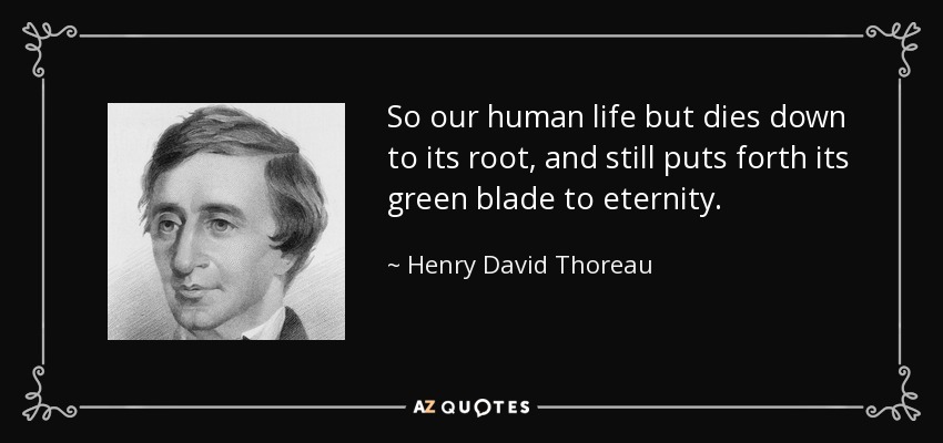 So our human life but dies down to its root, and still puts forth its green blade to eternity. - Henry David Thoreau