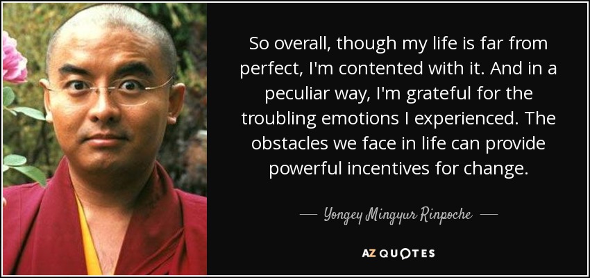 So overall, though my life is far from perfect, I'm contented with it. And in a peculiar way, I'm grateful for the troubling emotions I experienced. The obstacles we face in life can provide powerful incentives for change. - Yongey Mingyur Rinpoche