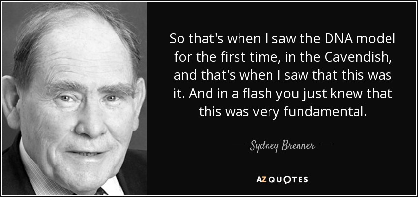 So that's when I saw the DNA model for the first time, in the Cavendish, and that's when I saw that this was it. And in a flash you just knew that this was very fundamental. - Sydney Brenner