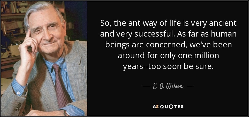 So, the ant way of life is very ancient and very successful. As far as human beings are concerned, we've been around for only one million years--too soon be sure. - E. O. Wilson