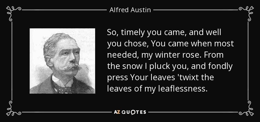 So, timely you came, and well you chose, You came when most needed, my winter rose. From the snow I pluck you, and fondly press Your leaves 'twixt the leaves of my leaflessness. - Alfred Austin