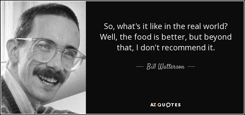 So, what's it like in the real world? Well, the food is better, but beyond that, I don't recommend it. - Bill Watterson