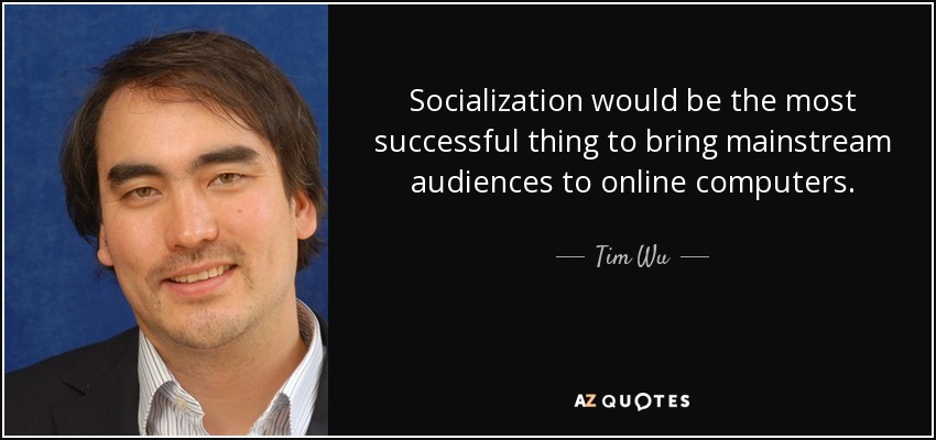 Socialization would be the most successful thing to bring mainstream audiences to online computers. - Tim Wu
