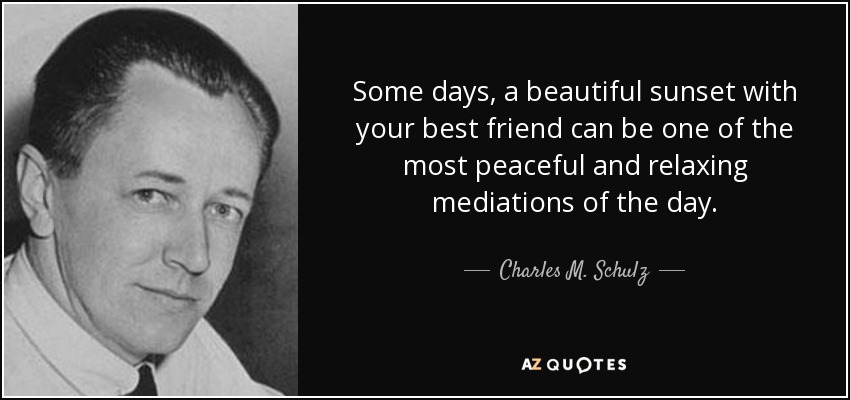 Some days, a beautiful sunset with your best friend can be one of the most peaceful and relaxing mediations of the day. - Charles M. Schulz