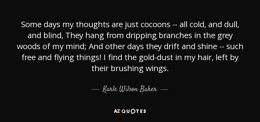 Some days my thoughts are just cocoons -- all cold, and dull, and blind, They hang from dripping branches in the grey woods of my mind; And other days they drift and shine -- such free and flying things! I find the gold-dust in my hair, left by their brushing wings. - Karle Wilson Baker