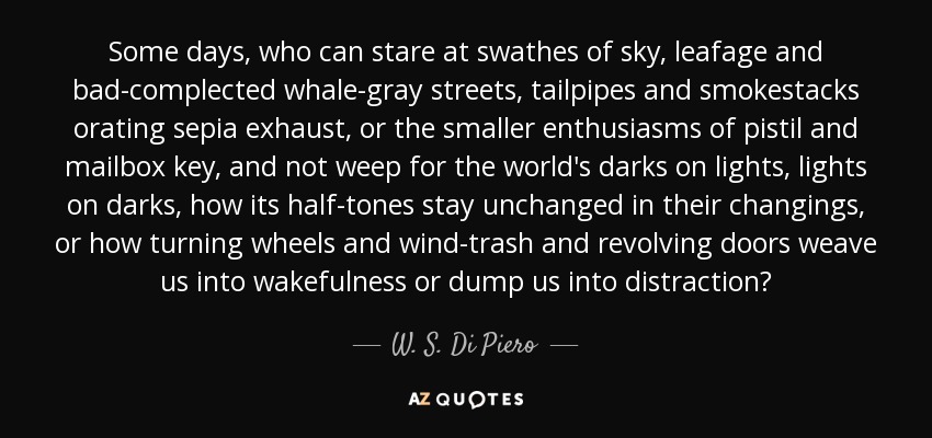 Some days, who can stare at swathes of sky, leafage and bad-complected whale-gray streets, tailpipes and smokestacks orating sepia exhaust, or the smaller enthusiasms of pistil and mailbox key, and not weep for the world's darks on lights, lights on darks, how its half-tones stay unchanged in their changings, or how turning wheels and wind-trash and revolving doors weave us into wakefulness or dump us into distraction? - W. S. Di Piero