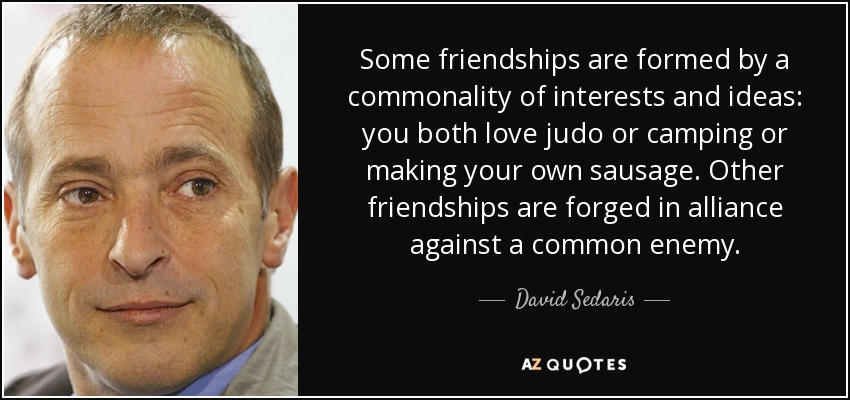Some friendships are formed by a commonality of interests and ideas: you both love judo or camping or making your own sausage. Other friendships are forged in alliance against a common enemy. - David Sedaris