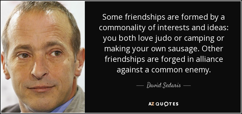 Some friendships are formed by a commonality of interests and ideas: you both love judo or camping or making your own sausage. Other friendships are forged in alliance against a common enemy. - David Sedaris