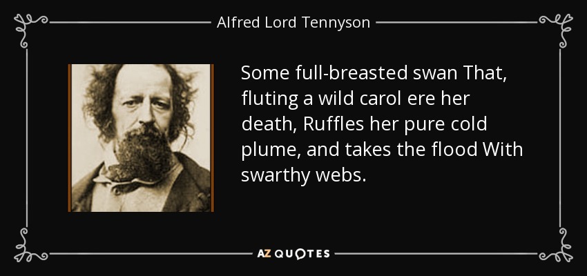 Some full-breasted swan That, fluting a wild carol ere her death, Ruffles her pure cold plume, and takes the flood With swarthy webs. - Alfred Lord Tennyson