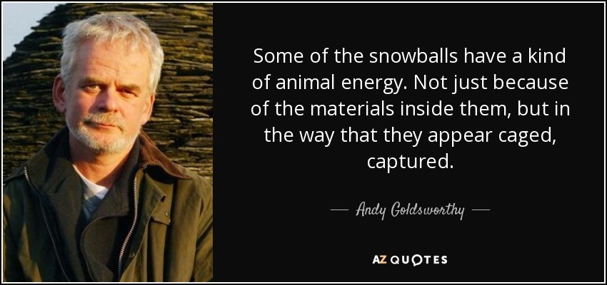 Some of the snowballs have a kind of animal energy. Not just because of the materials inside them, but in the way that they appear caged, captured. - Andy Goldsworthy