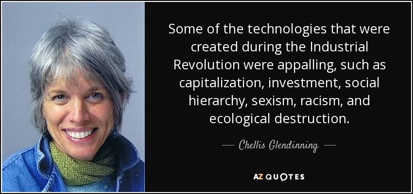 Some of the technologies that were created during the Industrial Revolution were appalling, such as capitalization, investment, social hierarchy, sexism, racism, and ecological destruction. - Chellis Glendinning
