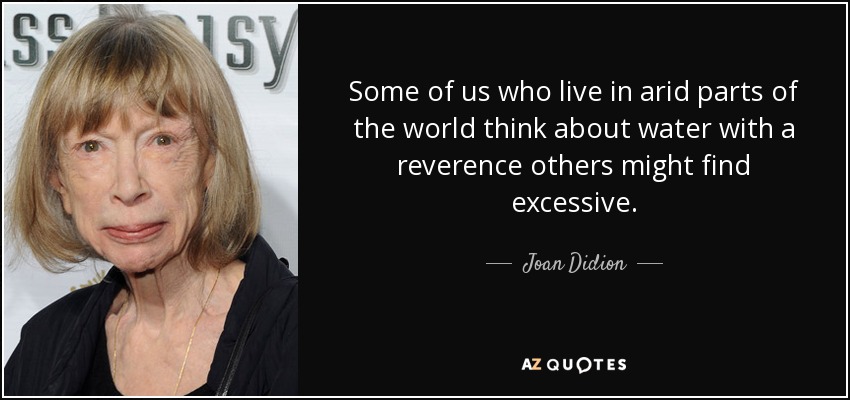 Some of us who live in arid parts of the world think about water with a reverence others might find excessive. - Joan Didion