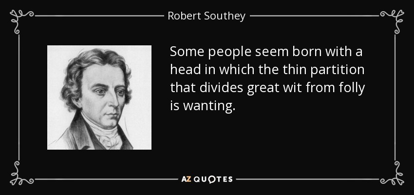 Some people seem born with a head in which the thin partition that divides great wit from folly is wanting. - Robert Southey
