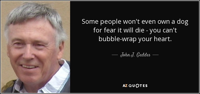 Some people won't even own a dog for fear it will die - you can't bubble-wrap your heart. - John J. Geddes