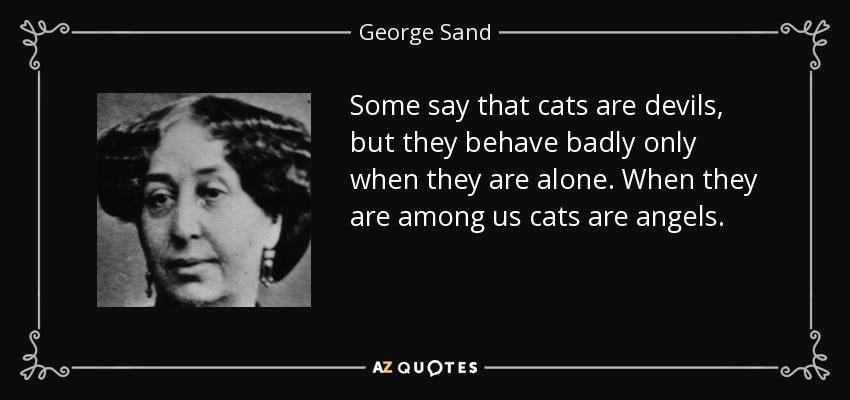 Some say that cats are devils, but they behave badly only when they are alone. When they are among us cats are angels. - George Sand