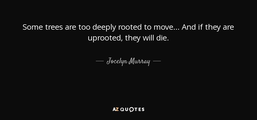 Some trees are too deeply rooted to move ... And if they are uprooted, they will die. - Jocelyn Murray