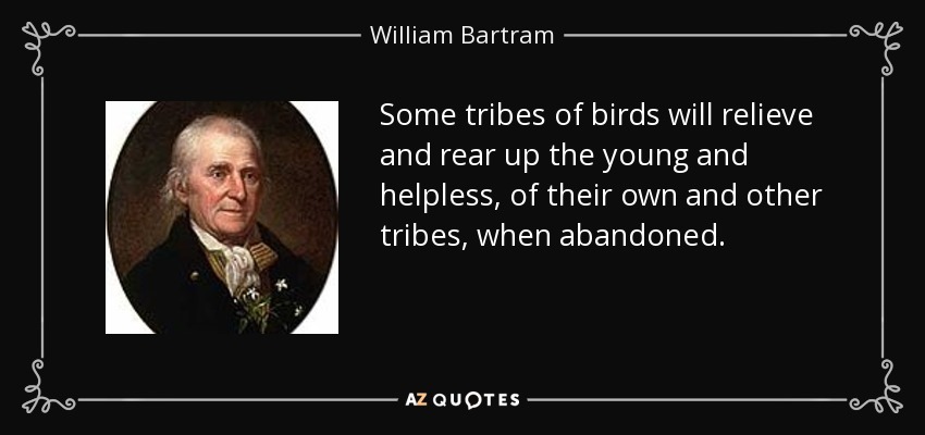 Some tribes of birds will relieve and rear up the young and helpless, of their own and other tribes, when abandoned. - William Bartram