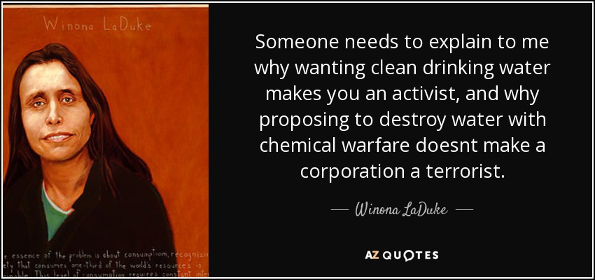 Someone needs to explain to me why wanting clean drinking water makes you an activist, and why proposing to destroy water with chemical warfare doesnt make a corporation a terrorist. - Winona LaDuke