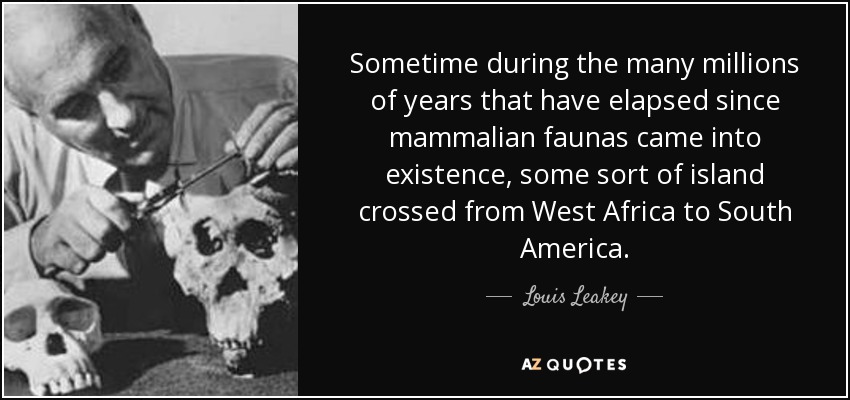 Sometime during the many millions of years that have elapsed since mammalian faunas came into existence, some sort of island crossed from West Africa to South America. - Louis Leakey