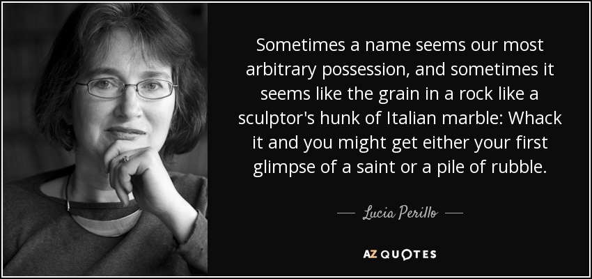 Sometimes a name seems our most arbitrary possession, and sometimes it seems like the grain in a rock like a sculptor's hunk of Italian marble: Whack it and you might get either your first glimpse of a saint or a pile of rubble. - Lucia Perillo