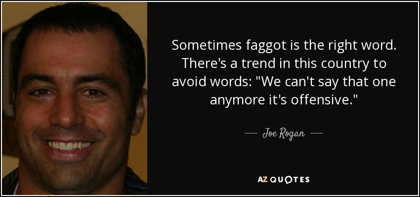 Sometimes faggot is the right word. There's a trend in this country to avoid words: 