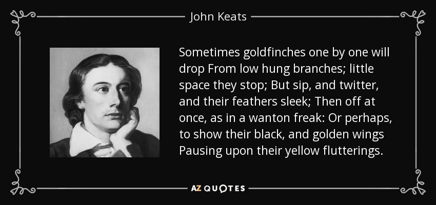 Sometimes goldfinches one by one will drop From low hung branches; little space they stop; But sip, and twitter, and their feathers sleek; Then off at once, as in a wanton freak: Or perhaps, to show their black, and golden wings Pausing upon their yellow flutterings. - John Keats