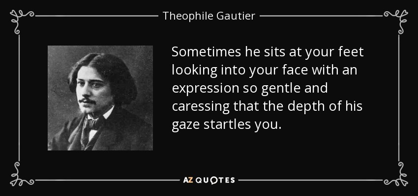 Sometimes he sits at your feet looking into your face with an expression so gentle and caressing that the depth of his gaze startles you. - Theophile Gautier