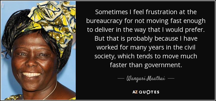 Sometimes I feel frustration at the bureaucracy for not moving fast enough to deliver in the way that I would prefer. But that is probably because I have worked for many years in the civil society, which tends to move much faster than government. - Wangari Maathai