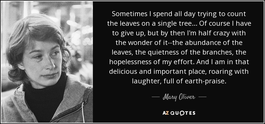 Sometimes I spend all day trying to count the leaves on a single tree... Of course I have to give up, but by then I'm half crazy with the wonder of it--the abundance of the leaves, the quietness of the branches, the hopelessness of my effort. And I am in that delicious and important place, roaring with laughter, full of earth-praise. - Mary Oliver