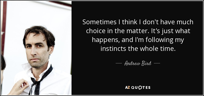 Sometimes I think I don't have much choice in the matter. It's just what happens, and I'm following my instincts the whole time. - Andrew Bird