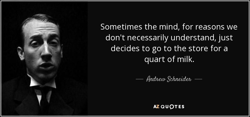 Sometimes the mind, for reasons we don't necessarily understand, just decides to go to the store for a quart of milk. - Andrew Schneider