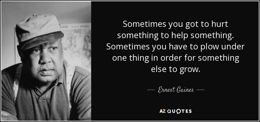 Sometimes you got to hurt something to help something. Sometimes you have to plow under one thing in order for something else to grow. - Ernest Gaines