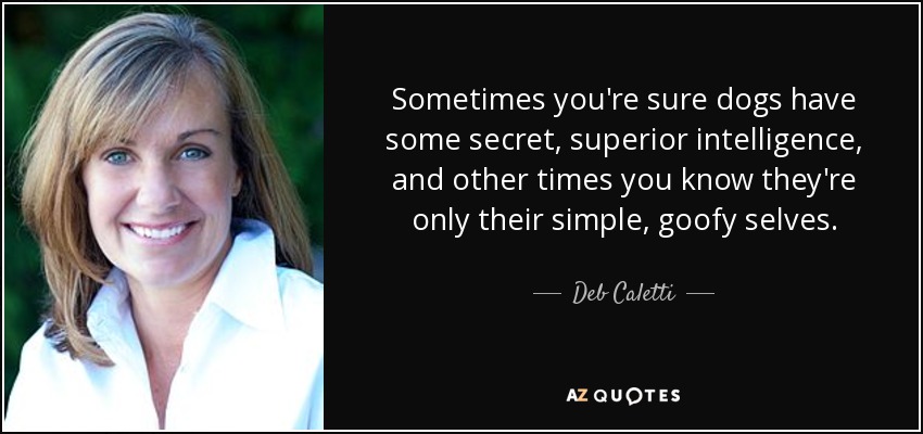 Sometimes you're sure dogs have some secret, superior intelligence, and other times you know they're only their simple, goofy selves. - Deb Caletti