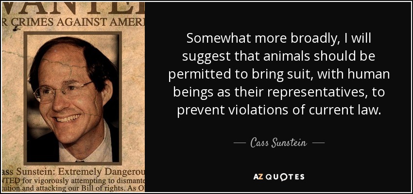 Somewhat more broadly, I will suggest that animals should be permitted to bring suit, with human beings as their representatives, to prevent violations of current law. - Cass Sunstein
