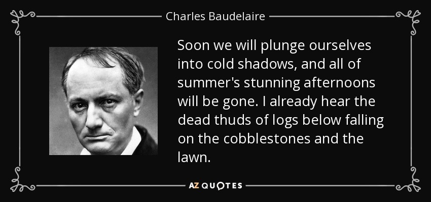 Soon we will plunge ourselves into cold shadows, and all of summer's stunning afternoons will be gone. I already hear the dead thuds of logs below falling on the cobblestones and the lawn. - Charles Baudelaire
