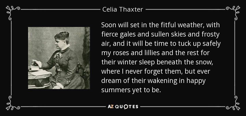 Soon will set in the fitful weather, with fierce gales and sullen skies and frosty air, and it will be time to tuck up safely my roses and lillies and the rest for their winter sleep beneath the snow, where I never forget them, but ever dream of their wakening in happy summers yet to be. - Celia Thaxter