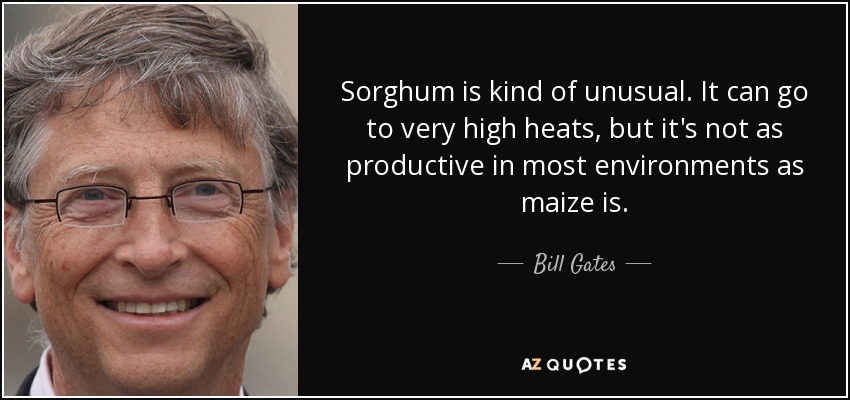 Sorghum is kind of unusual. It can go to very high heats, but it's not as productive in most environments as maize is. - Bill Gates