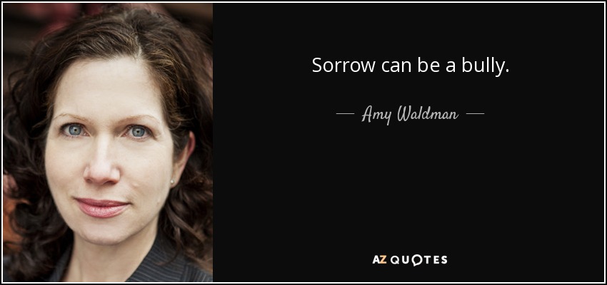 Sorrow can be a bully. - Amy Waldman