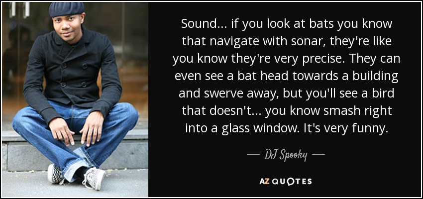 Sound... if you look at bats you know that navigate with sonar, they're like you know they're very precise. They can even see a bat head towards a building and swerve away, but you'll see a bird that doesn't... you know smash right into a glass window. It's very funny. - DJ Spooky